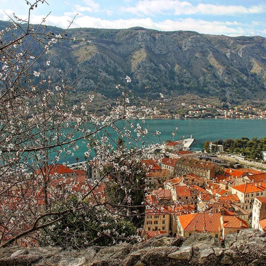 Old Town Kotor Square Exterior foto
